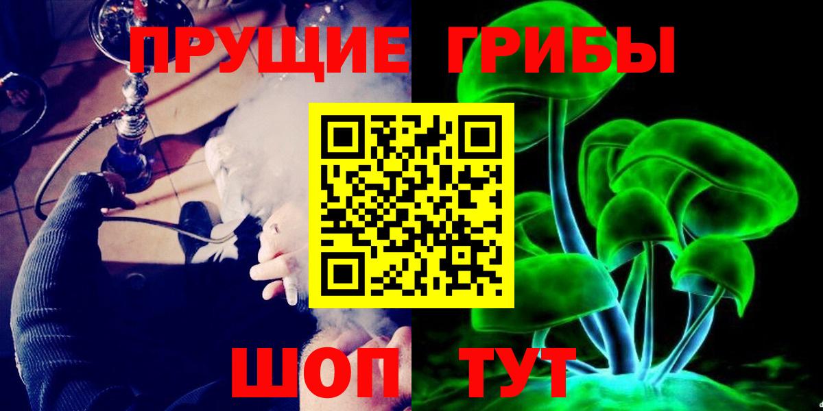 Галлюциногенные грибы Psilocybine cubensis Киров